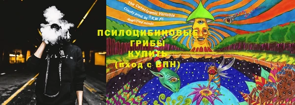 гашик Гусев